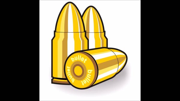 Пуля вектор