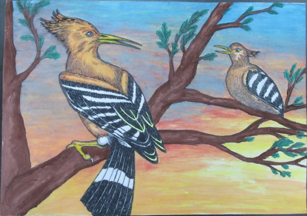 Удод картина