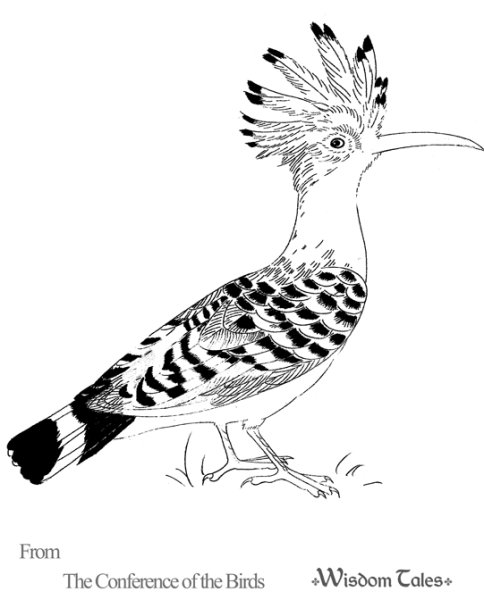 Птица Удод нарисовать