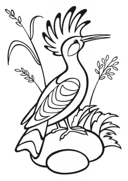 Птица Удод картина