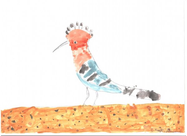 Удод картина