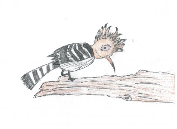 Художник Zeng Xiao Lian -Чайки