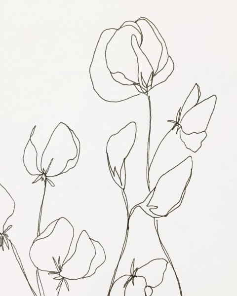 Цветок одной линией