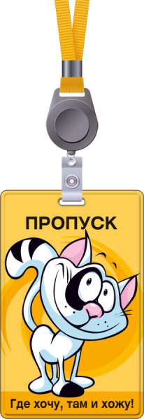 Пропуск картинка