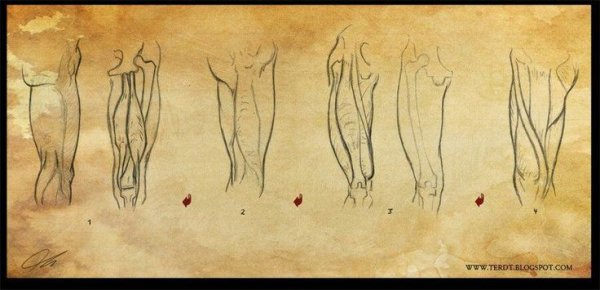 Андрей Самарин Академический