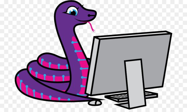 Питон язык программирования рисунок