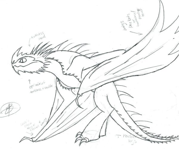 Раскраски драконы и всадники Олуха