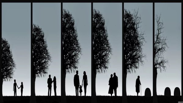 Рисунки со смыслом