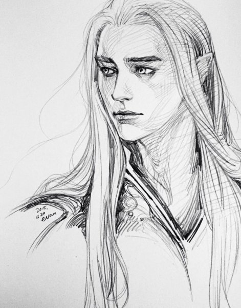 Орофер Толкин