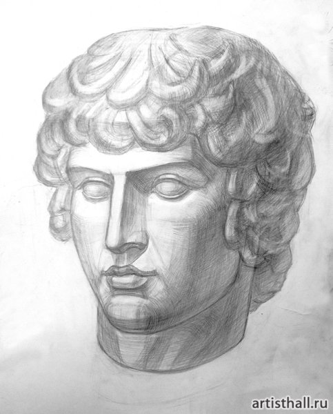 Антиной гипсовая голова МАРХИ