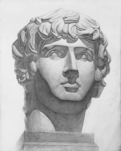 Антиной гипсовая голова