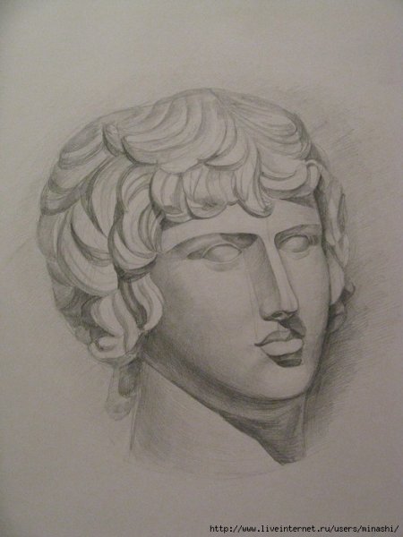 Голова Антиноя МАРХИ