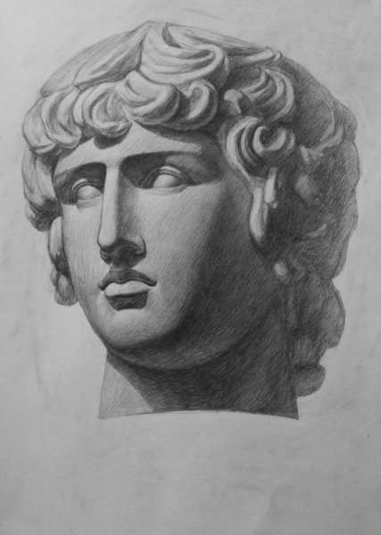 Гипсовая голова Антиноя МАРХИ