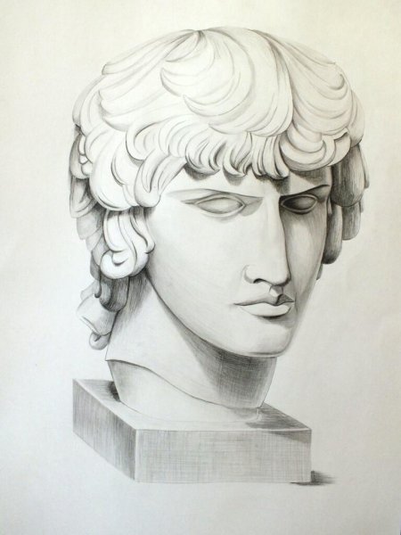 Антиной гипсовая голова МАРХИ