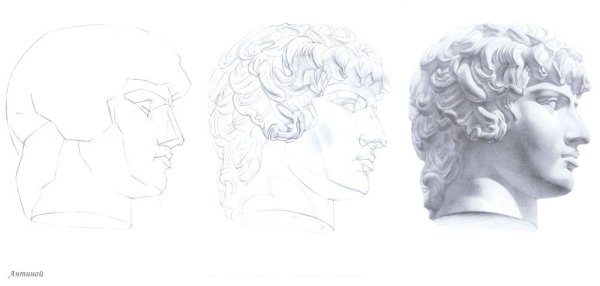 Голова Антиноя МАРХИ