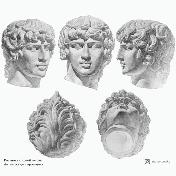 Антиной гипсовая голова профиль