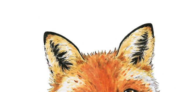 Лиса арт на белом фоне
