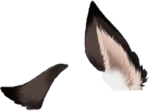 Гача лайф хвост волка