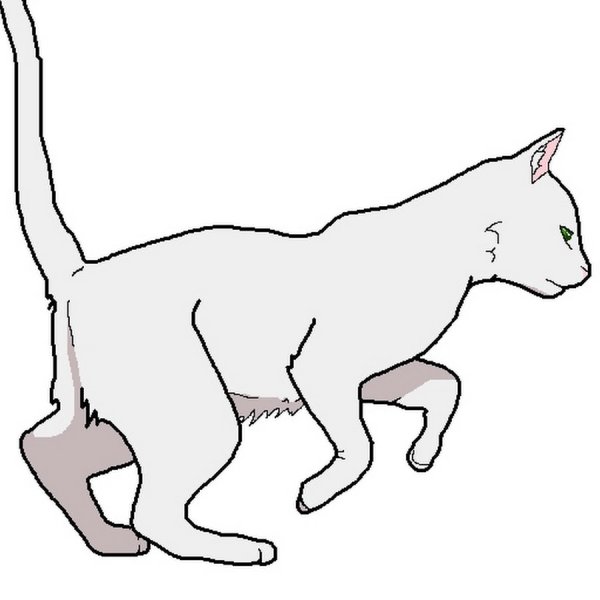 Кот бежит рисунок