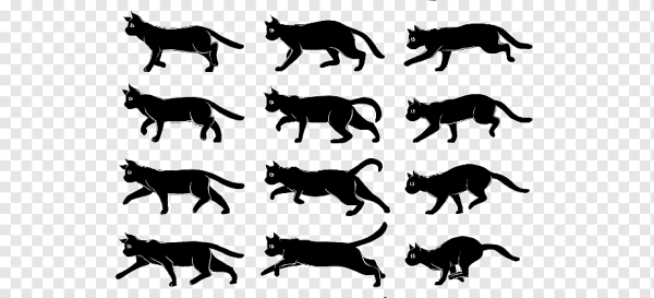 Раскадродровка движнгий кота