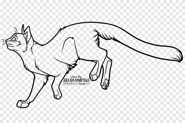 Коты Воители лайн в полный рост