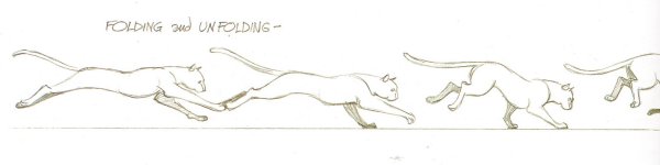 Раскадродровка движнгий кота