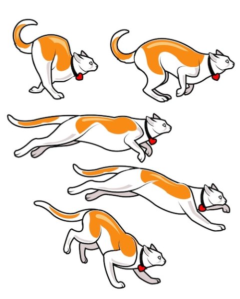 Бег кота по кадрам