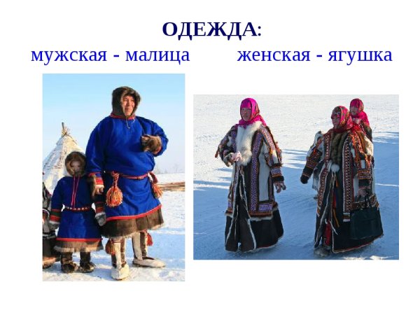 Ненцы национальный костюм Малица