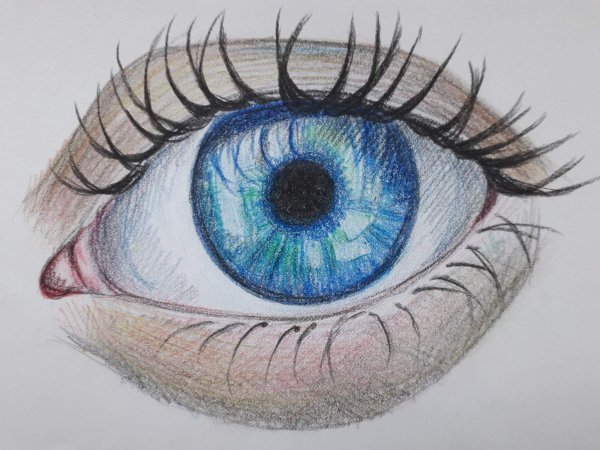 Рисунки цветными карандашами легкие и красивые