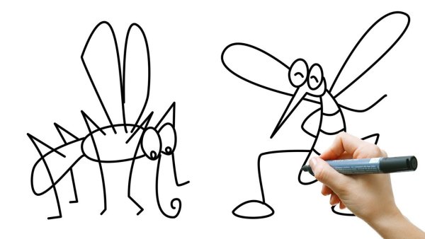 Комар раскраска