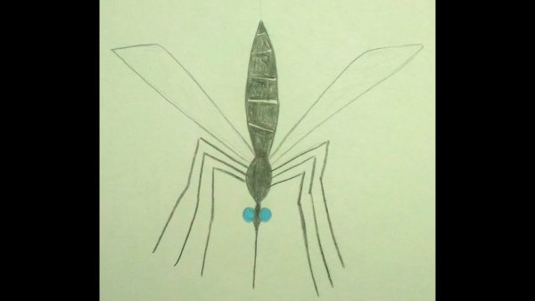 Нарисовать комара пошагово