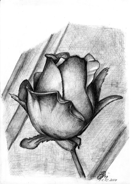 Картины карандашом легкие