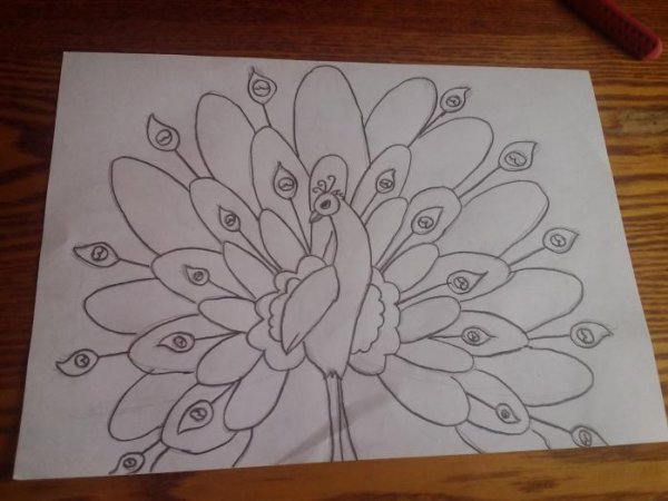 Рисуем павлина пошагово