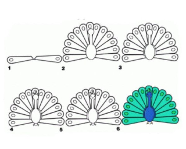 Павлин поэтапное рисование для детей
