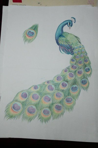 Поэтапное рисование павлинс