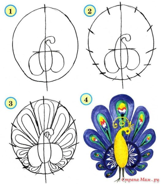 Поэтапное рисование павлина для дошкольников