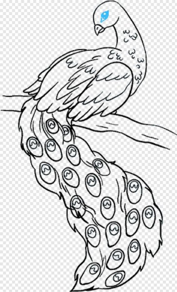 Рисунки павлина легкие
