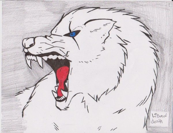 Рисунки для срисовки злых Волков