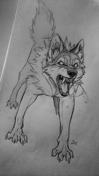 Срисовка злых Волков