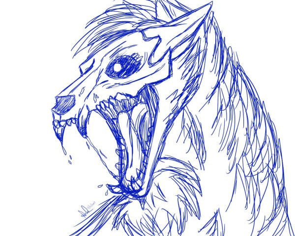 Рисунок волка для срисовки