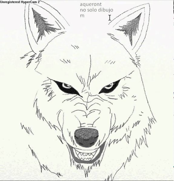 Пасть волка карандашом