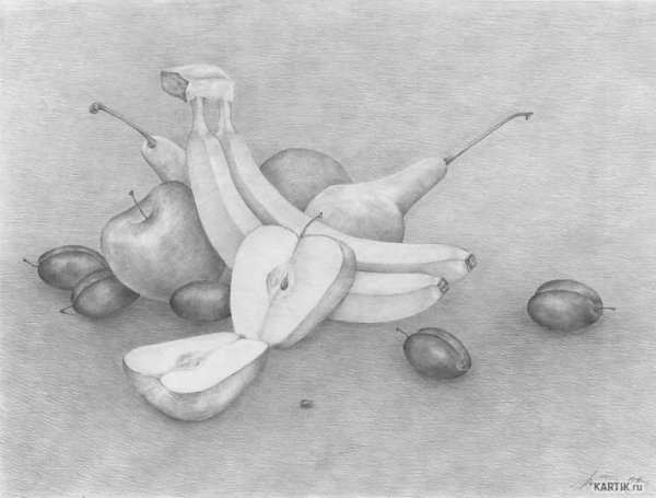 Натюрморт карандашом