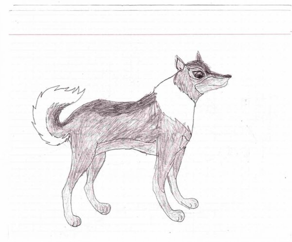 Лайка рисование пошагово