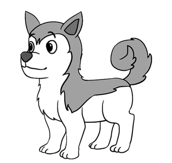 Раскраска хаски