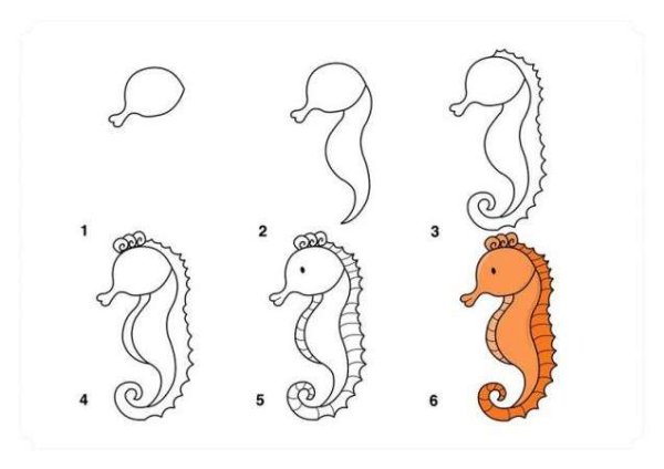 Как нарисовать морского конька поэтапно