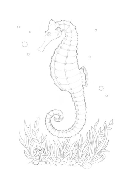 Рисование морской конек