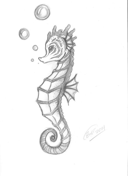 Морской конек для срисовки