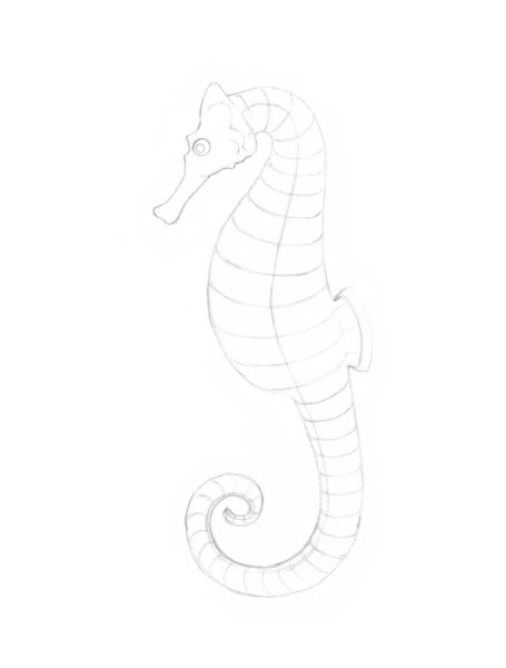 Морской конек для срисовки