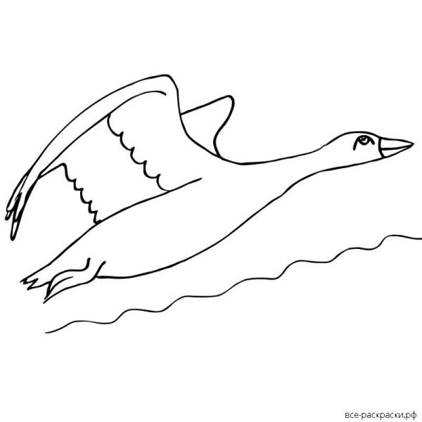 Гуси лебеди трафарет