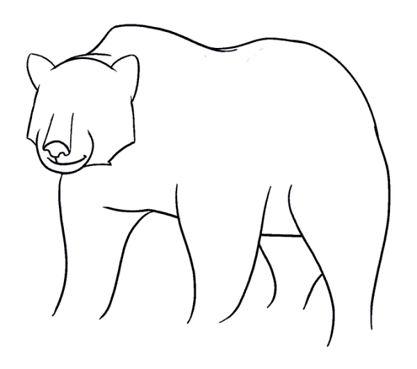 Медведь для срисовки карандашом